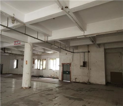 日照市廠(chǎng)房驗(yàn)廠(chǎng)安全檢測(cè)鑒定收費(fèi)標(biāo)準(zhǔn)解析及建筑材料安全新規(guī)引關(guān)注